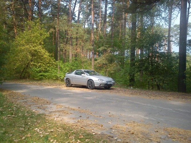 DSC00320.jpg