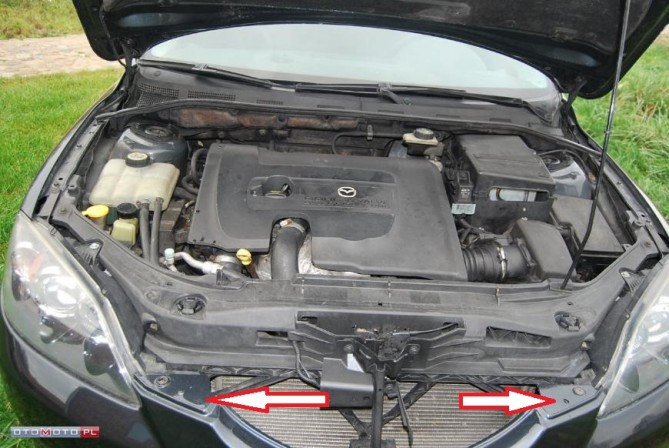 C35068467_9.jpg