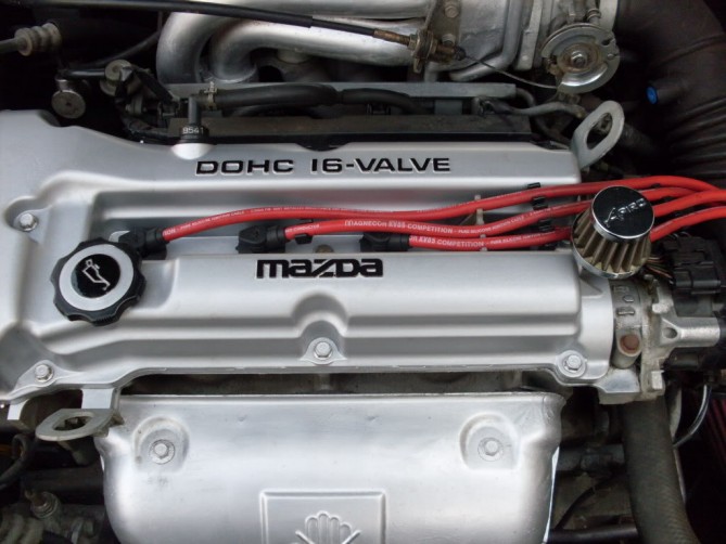 SDC12937.jpg