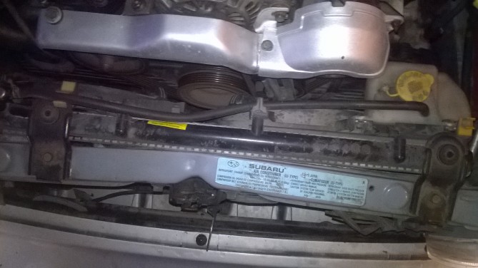 WP_20150104_001.jpg