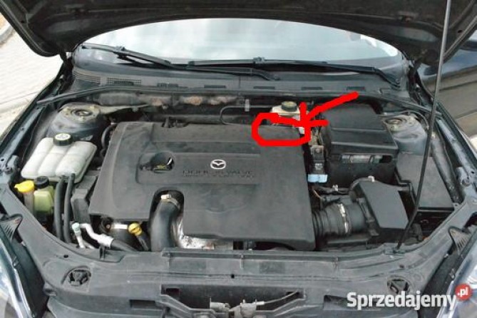 540x405_mazda-cd-km-22993 2.JPG