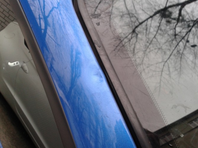 20150111_094213.jpg