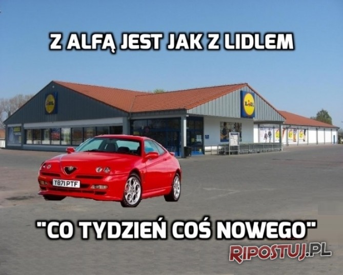 alfy_takie_sa_2014-12-18_14-30-58_middle.jpg