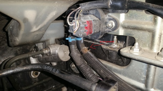mazda.jpg