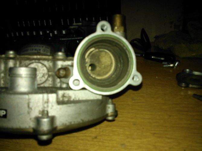 WP_001074.jpg