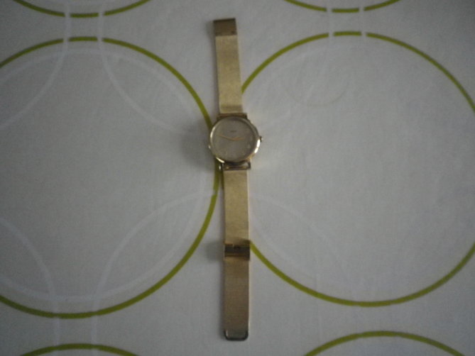 IMGP0005.JPG