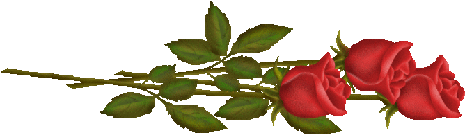 9_dlugie_roze_1_.gif