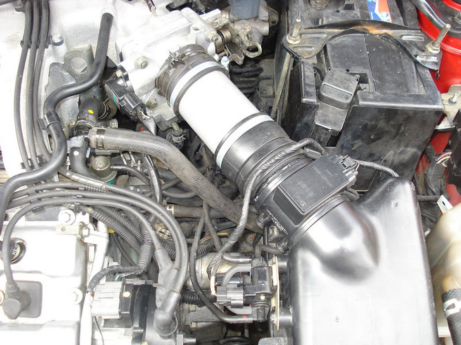 dolot-DSC01078.JPG