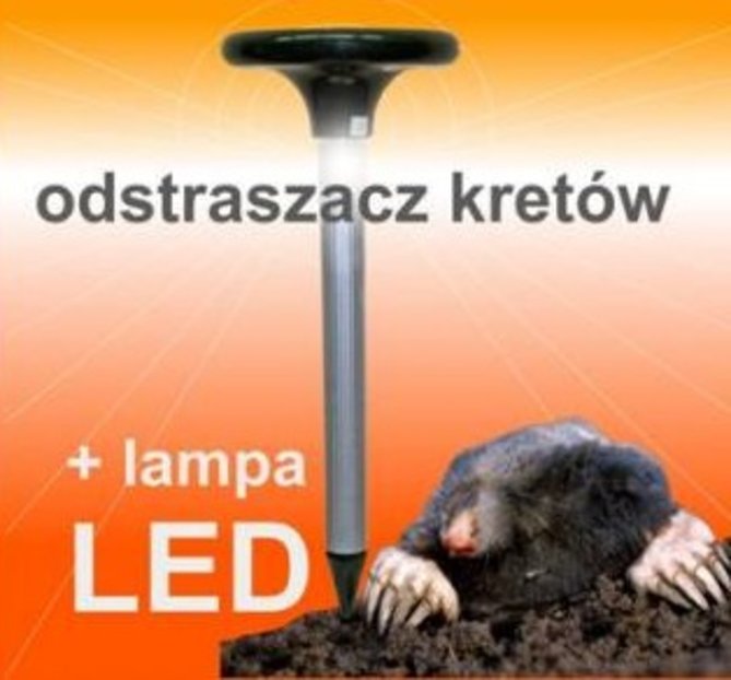 odstraszacz-na-krety-solarny-kretow-lampa-led-1583547657.jpg