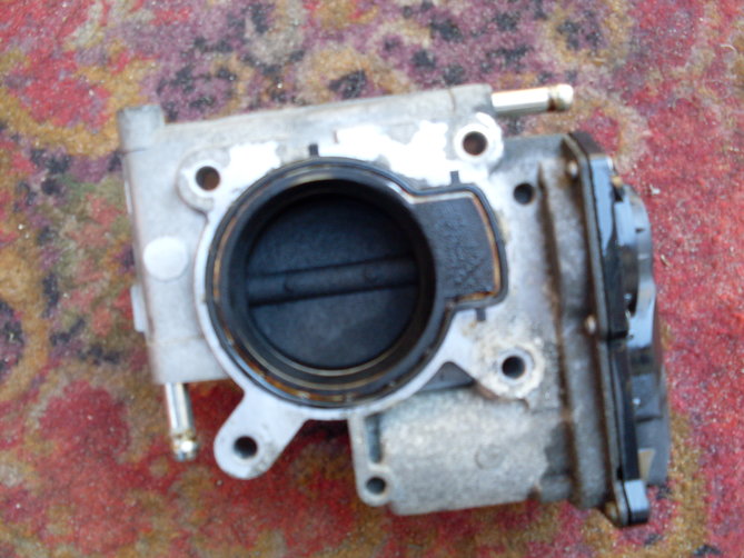 SDC11428.JPG