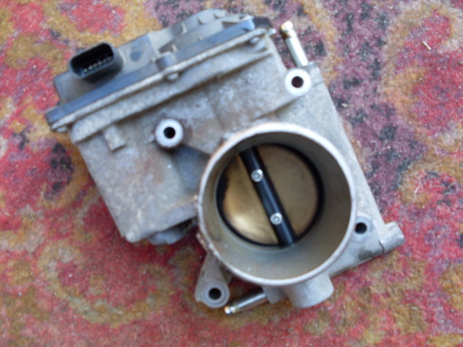 SDC11429.JPG