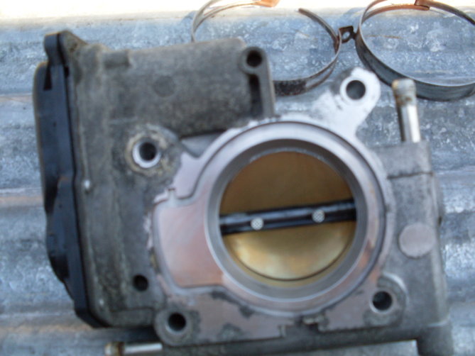 SDC11431.JPG