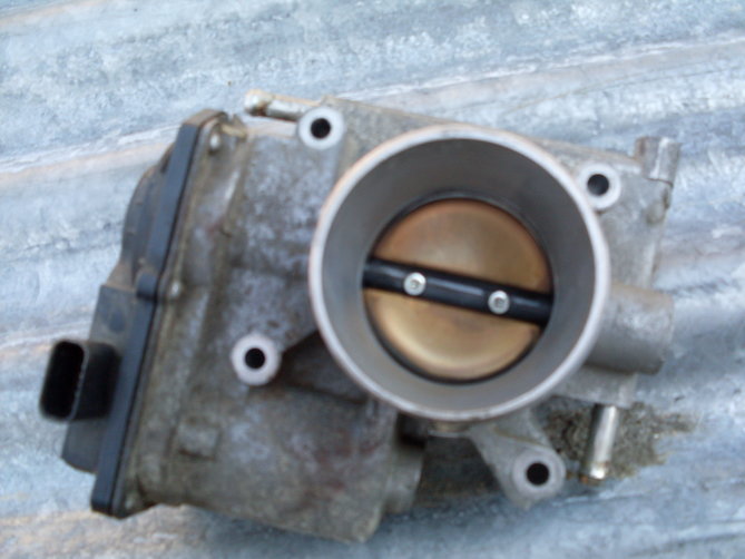 SDC11433.JPG