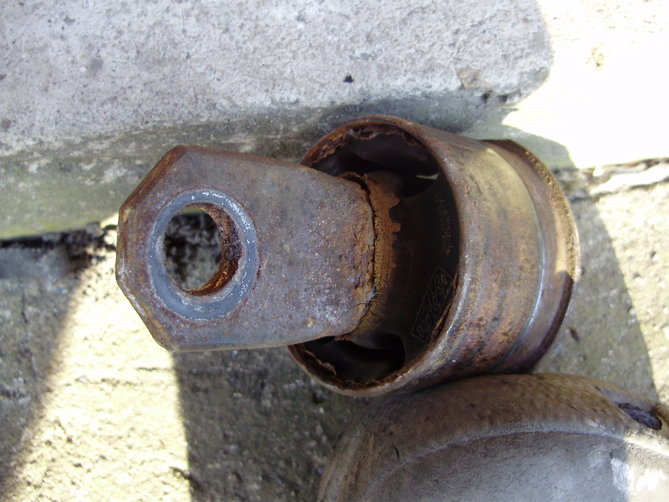 PB180290.JPG