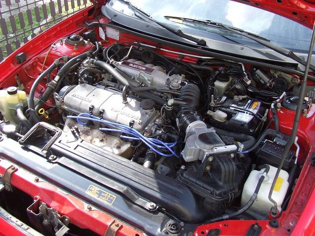 DSCF4215_(800_x_600).jpg