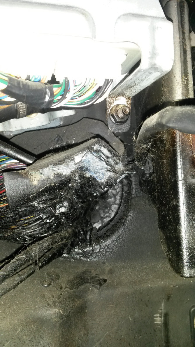 20150330_151500.jpg