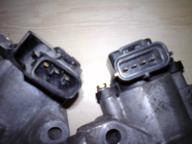 DSC01101.JPG