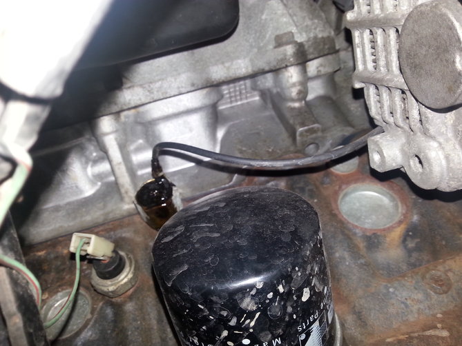 20150407_124841.jpg