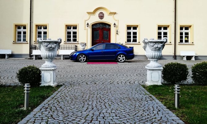 marek219.jpg