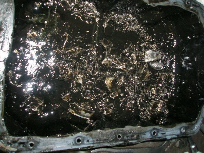 PB190276.JPG