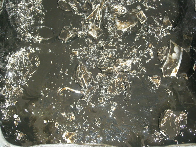 PB190278.JPG