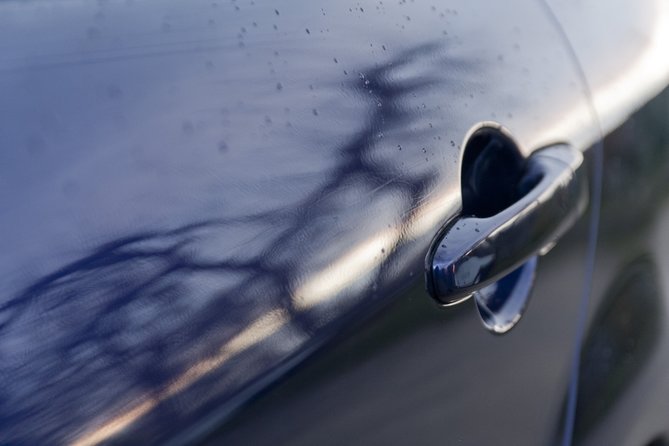 m_IMG_7247.jpg