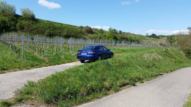 20150418_145715_wynik.jpg