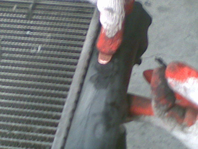 20101009017.jpg