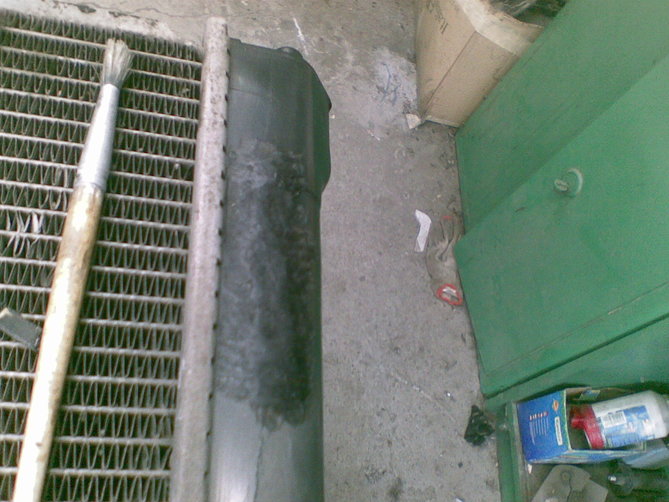 20101009022.jpg
