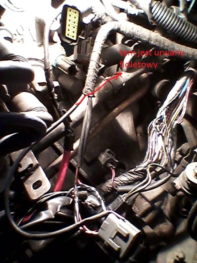 20150423_220659.jpg