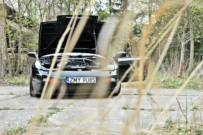 Nissan 6 .jpg
