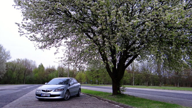 DSC00921.JPG