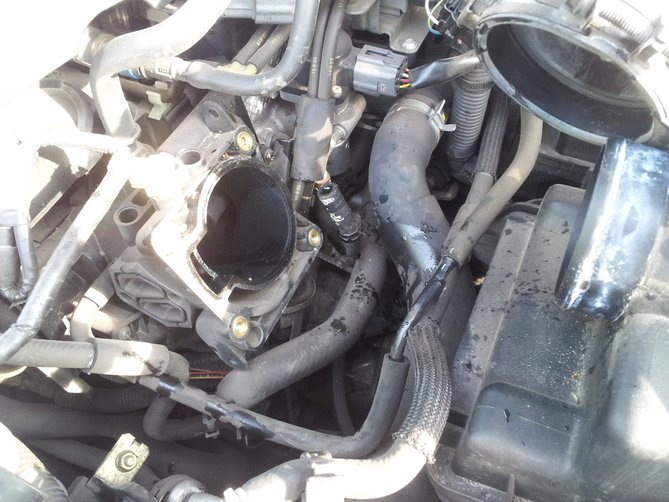 20150430_165534.jpg
