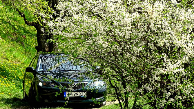 rafalmazda6.JPG