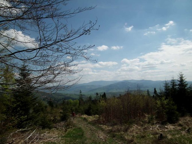 DSCF0177-1024.jpg