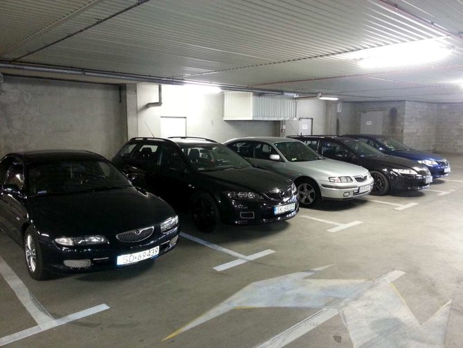20150510_121543-1024.jpg