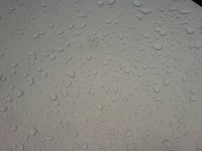 DSC00421.JPG