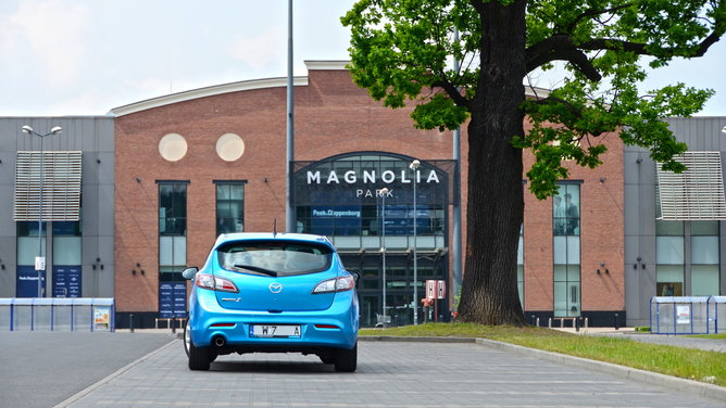 Sesja Magnolia 12.jpg