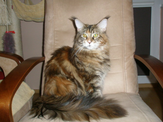 11 miesiecy (99).JPG