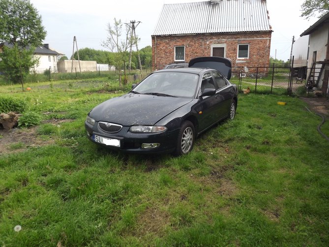 DSCF4523.JPG