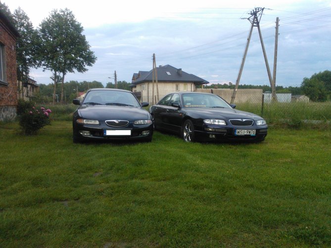 WP_000594.jpg