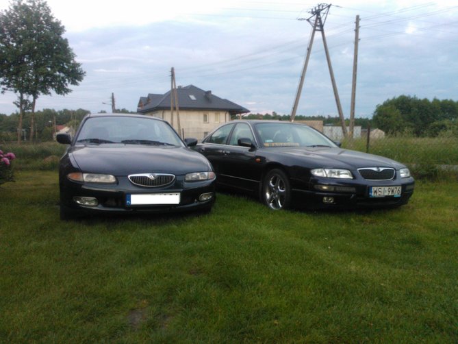 WP_000595.jpg