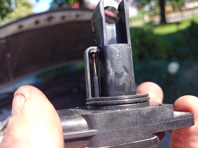 20150605_105813.JPG