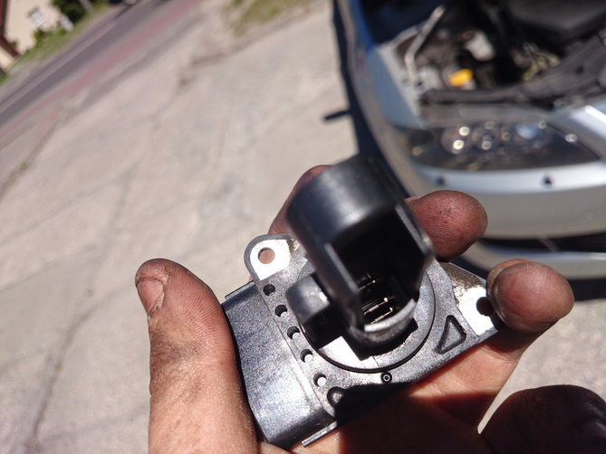 20150605_105855.JPG