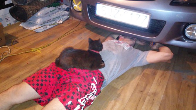 20150603_231858.jpg