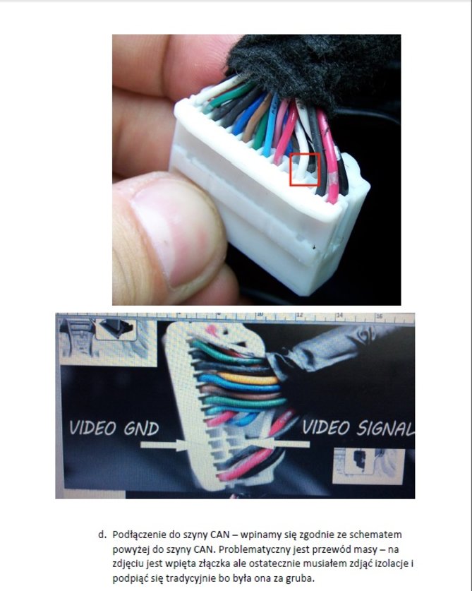 p19.jpg