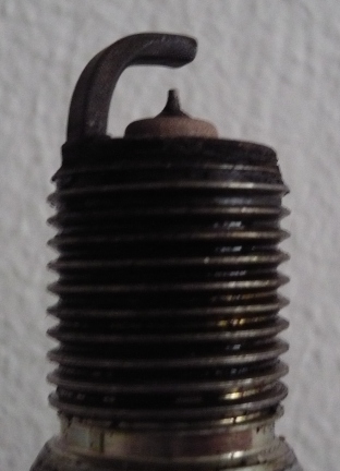 P1000947.JPG