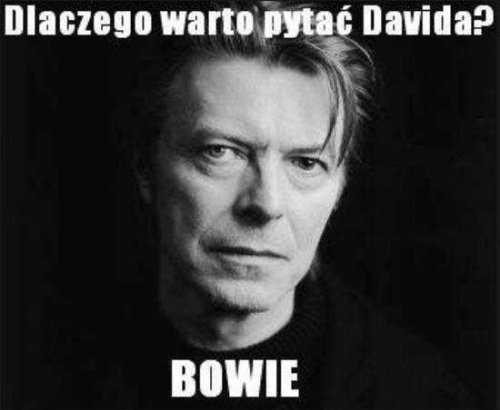 David.jpg