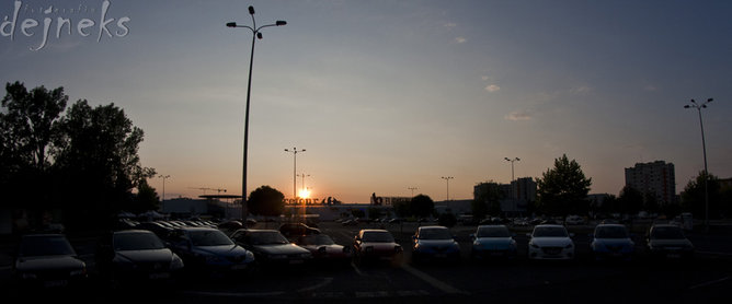 IMG_7124.jpg