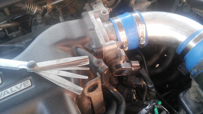 20150826_131450.jpg